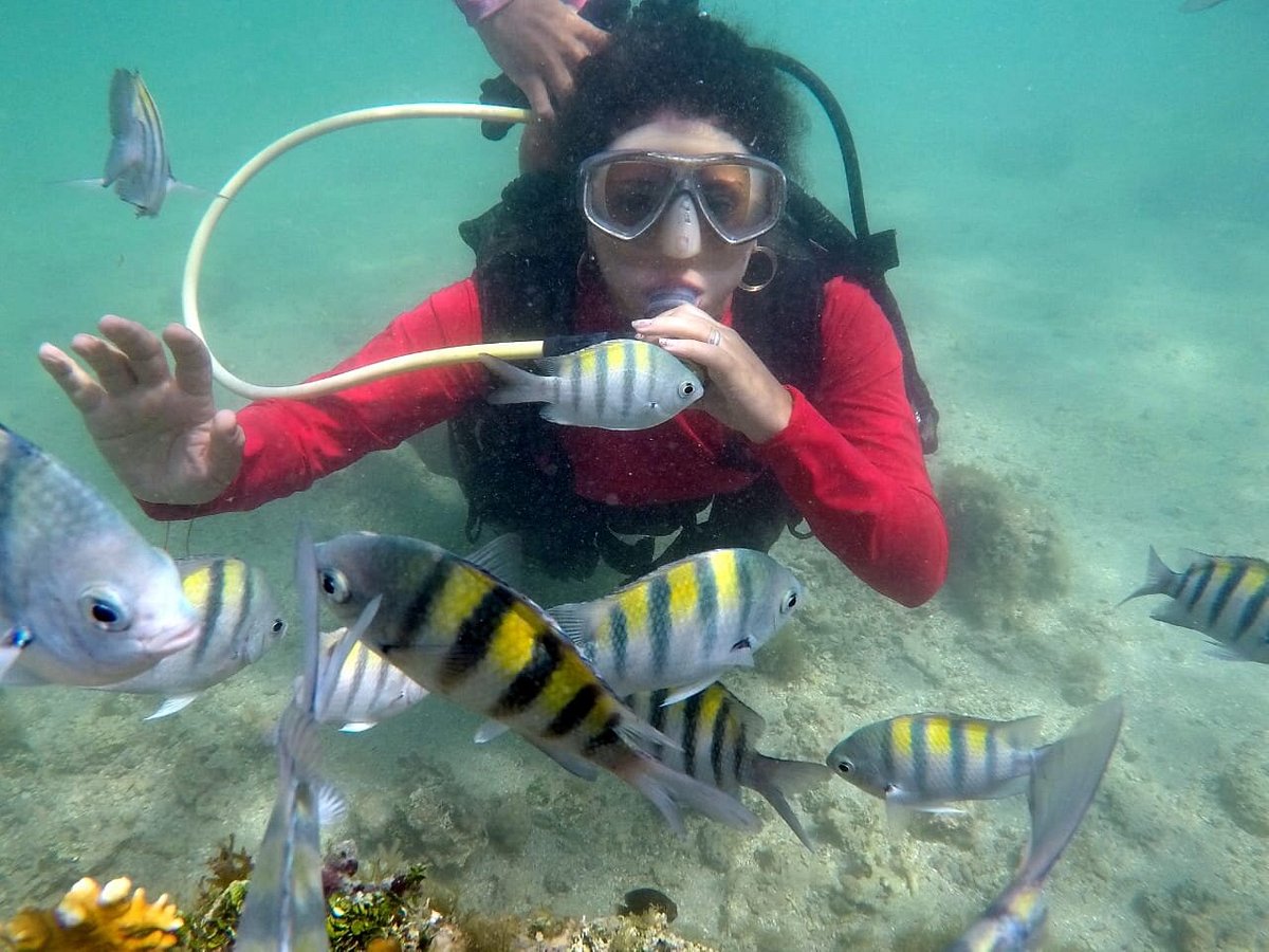 Mulher em Maragogi mergulhando com peixes